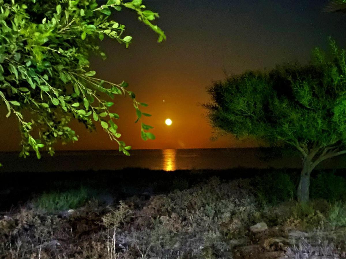 Paradise Karpaz Hotel & Restaurant Rizokarpaso Экстерьер фото